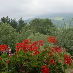 Olaskoaga Goikoa ファームステイ