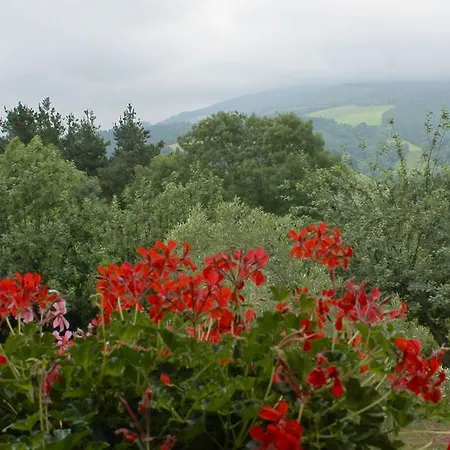Olaskoaga Goikoa Фермерский дом