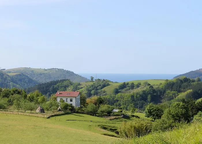 Olaskoaga Goikoa Aia